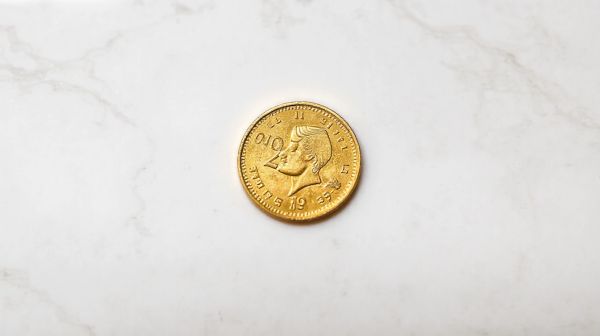 Top raisons de miser sur les pièces en or de 20 francs Tunisie